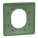 Plaque de finition Ovalis S320702B vert forêt 1 poste