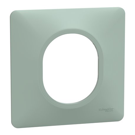 Plaque de finition Ovalis S320702A sauge 1 poste Plaque de finition Ovalis S320702A sauge 1 poste