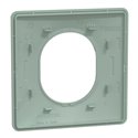 Plaque de finition Ovalis S320702A sauge 1 poste
