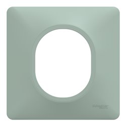 Plaque de finition Ovalis S320702A sauge 1 poste