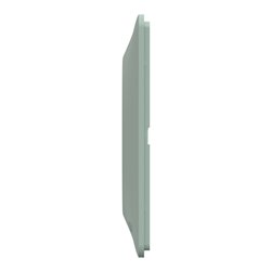 Plaque de finition Ovalis S320702A sauge 1 poste