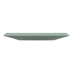 Plaque de finition Ovalis S320702A sauge 1 poste