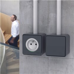 Prise courant 2P+T Mureva Styl MUR35031 connexion auto gris