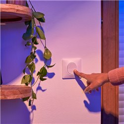 Interrupteur va et vient 10AX lumineux ou témoin Ovalis S320263 Blanc 