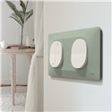 Plaque de finition Ovalis entraxe 71 mm S320704A sauge 2 postes horizontal