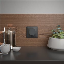 Double va et vient 10AX Ovalis S340214 anthracite 