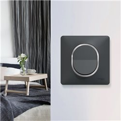 Plaque de finition Ovalis S340702G anthracite bague argent chromé 1 poste