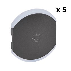 Lot de 5 enjoliveurs doubles Céliane éclairage 1 picto graphite 064842