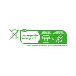 Ampoule LED GU10 4W 320 Lm RGB + Blanc