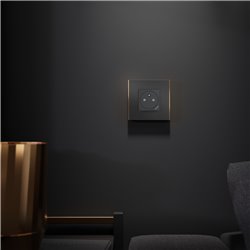 Plaque de finition Unica Deco Subtile NU600241 Anthracite liseré cuivre 1 poste