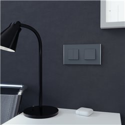 Plaque de finition Unica Deco Subtile NU600443 Anthracite liseré argent 2 postes