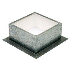 Souche isolée JBS 300