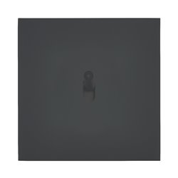 Interrupteur va-et-vient 10A noir mat Art d'Arnould univers Epure 67807