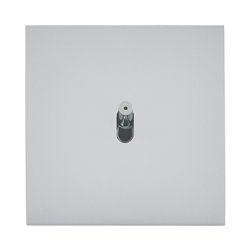 Interrupteur va-et-vient lumineux 10A acier satin Art d'Arnould univers Epure 67507