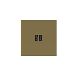 Prise USB Type C 3A 30W or miroir Art d'Arnould univers Epure AR67723