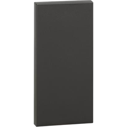 Touche factice Living Now 1 module pour dalle électrique MyHOME_Up noir mat BTKG8100