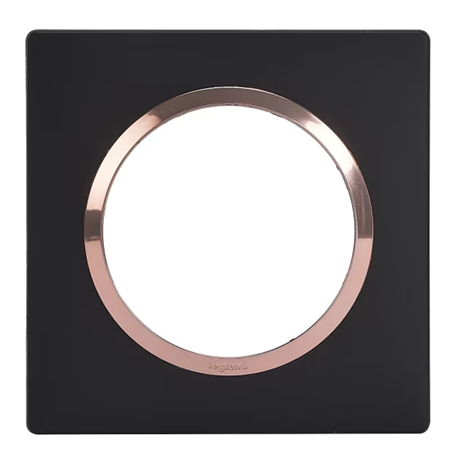 Plaque carrée Dooxie 1 poste finition noir bague cuivre 600995 Plaque carrée Dooxie 1 poste finition noir bague cuivre 600995