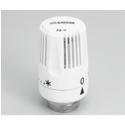 Tête thermostatique chromée 