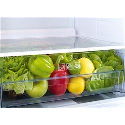 Réfrigérateur TSE1264FMGN 114 Litres table top