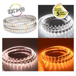 Ruban LED de 5 m 10 W/m 850 Lm/m Blanc chaud à Blanc jour