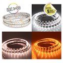 Ruban LED de 5 m 10 W/m 850 Lm/m Blanc chaud à Blanc jour