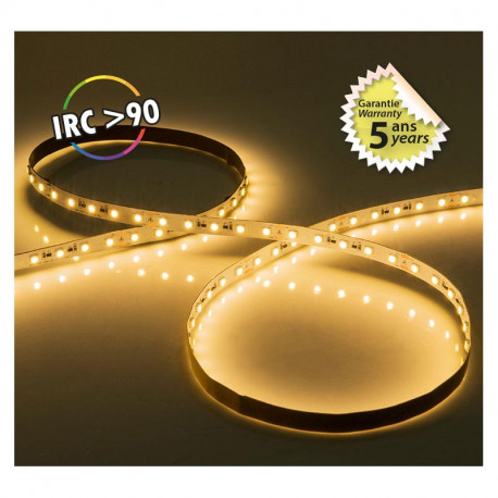 Ruban LED de 5 m 10 W/m 1100 Lm/m Blanc chaud