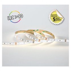 Ruban LED de 5 m 10 W/m 1200 Lm/m Blanc neutre
