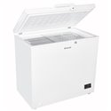 Congélateur coffre BFK301ESW 308 Litres