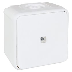 Commande Bouton poussoir avec voyant Blanc