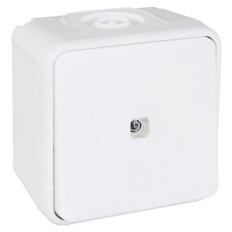 Commande Bouton poussoir avec voyant Blanc Commande Bouton poussoir avec voyant Blanc