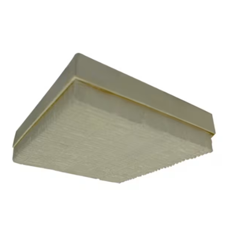 Filtre M5 pour bouche BAF