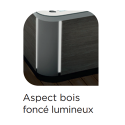 Happy Spa 5, 6 places, bois foncé lumineux