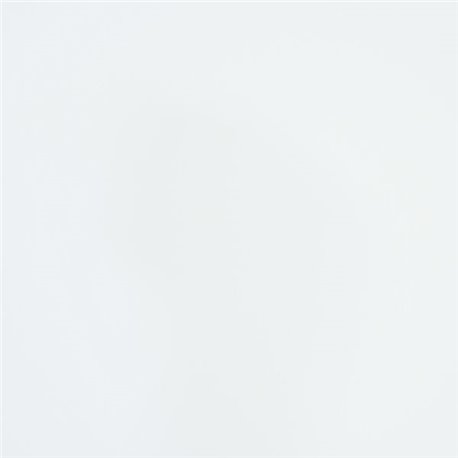 Panneau de douche Alvéo 600x2570 mm Blanc brillant Panneau de douche Alvéo 600x2570 mm Blanc brillant