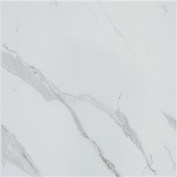 Panneau de douche Alvéo 600x2570 mm Marbré blanc
