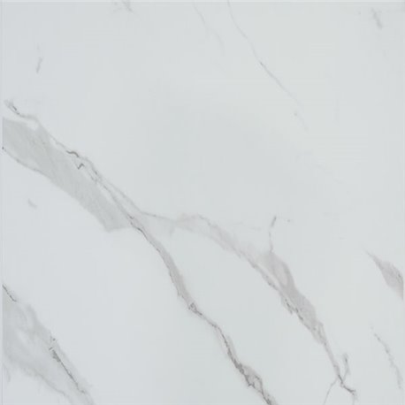 Panneau de douche Alvéo 600x2570 mm Marbré blanc
