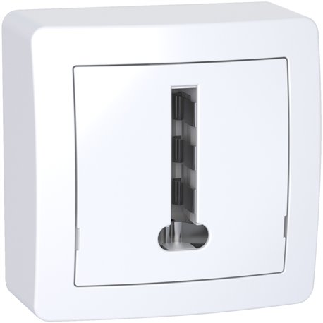 Lot de 10 conjoncteurs téléphoniques 8 plots avec cadre saillie Alréa ALB62366P blanc polaire Lot de 10 conjoncteurs téléphoniques 8 plots avec cadre saillie Alréa ALB62366P blanc polaire