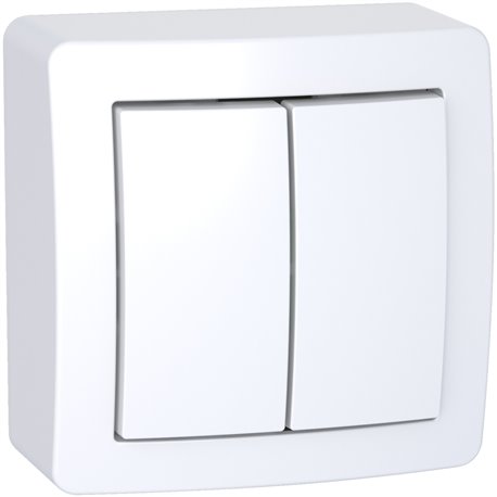 Lot de 10 doubles Va-et-vient avec cadre saillie Alréa ALB62056P blanc polaire