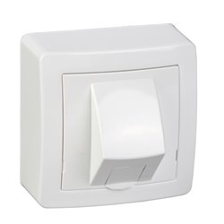 Lot de 10 prises RJ45 simples cat. 6 UTP avec cadre saillie Alréa ALB62342P blanc polaire