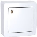 Lot de 10 va-et-vient lumineux forte luminosité avec cadre saillie Alréa ALB62057P blanc polaire