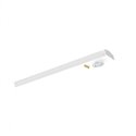 Module LED pour linéaire prismatique PROLINE 100630