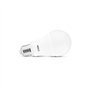 Ampoule LED E27 13W 1521 Lm Blanc jour