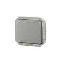 Interrupteur ou va-et-vient étanche Plexo 10AX 250V IP55 IK08 avec enjoliveur gris 069511L