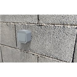 Interrupteur ou va-et-vient étanche Plexo 10AX 250V IP55 IK08 avec enjoliveur gris 069511L