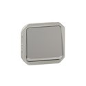 Interrupteur ou va-et-vient lumineux étanche Plexo 10AX 250V IP55 IK08 gris 069513L