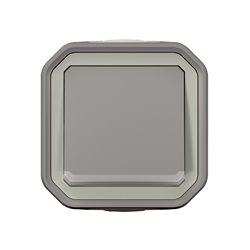 Interrupteur ou va-et-vient lumineux étanche Plexo 10AX 250V IP55 IK08 gris 069713L