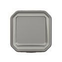 Interrupteur ou va-et-vient lumineux étanche Plexo 10AX 250V IP55 IK08 gris 069713L