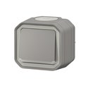 Interrupteur ou va-et-vient lumineux étanche Plexo 10AX 250V IP55 IK08 gris 069713L