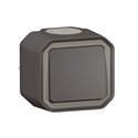 Interrupteur ou va-et-vient Plexo étanche 10AX 250V IP55 IK08 anthracite 069761L