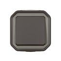 Interrupteur ou va-et-vient Plexo étanche 10AX 250V IP55 IK08 anthracite 069761L