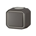 Interrupteur ou va-et-vient Plexo étanche 10AX 250V IP55 IK08 anthracite 069761L